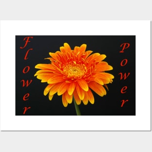 Flower Power Posters and Art